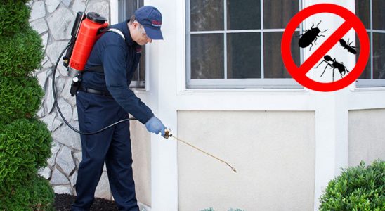 Torbalı Uçan Haşere İlaçlama böcek ilaçlama ve haşere kontrolü — ilaclama-tr.com